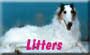 Litters